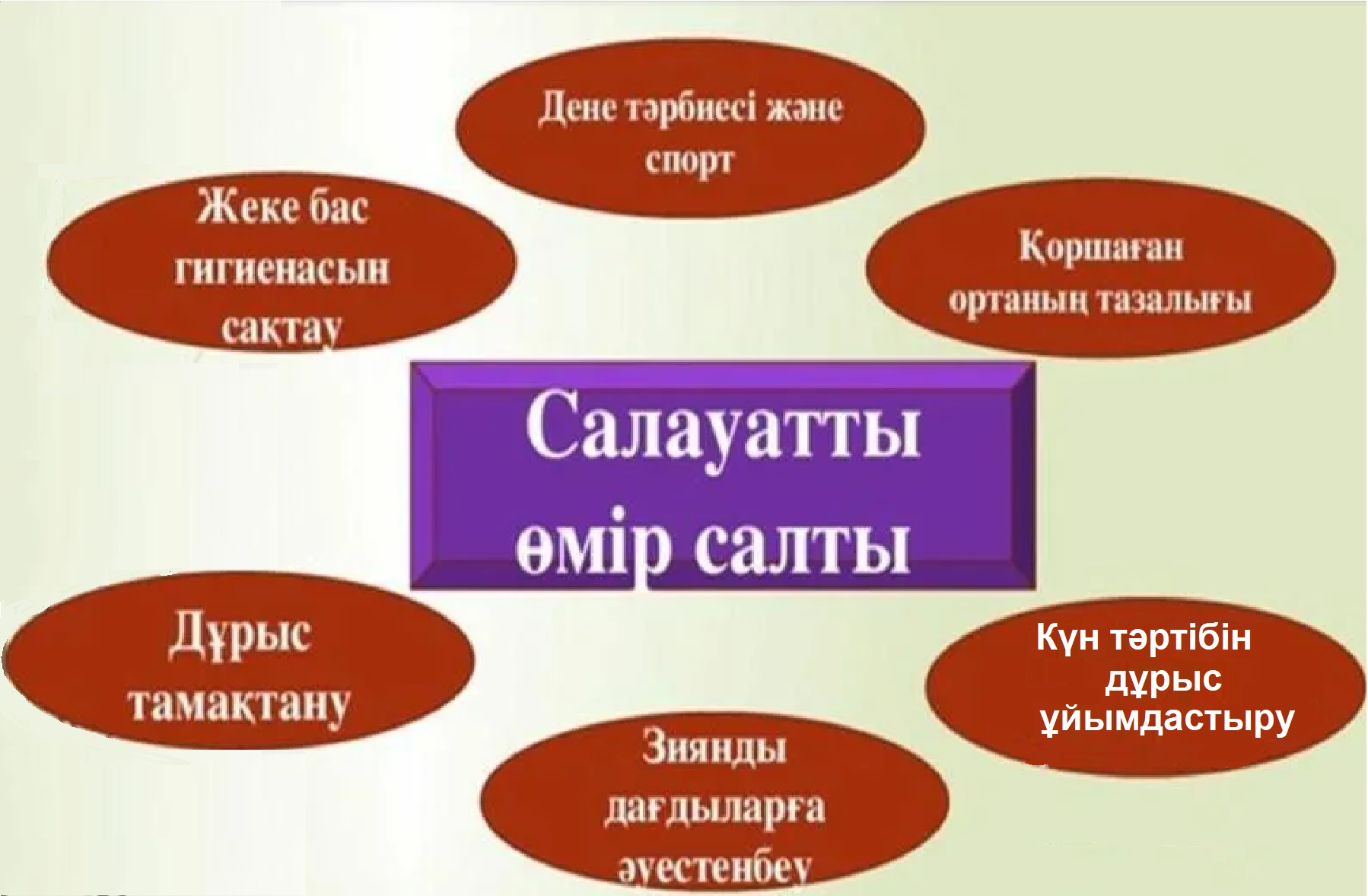 Өсімдік пен жануар жасушасының айырмашылығы